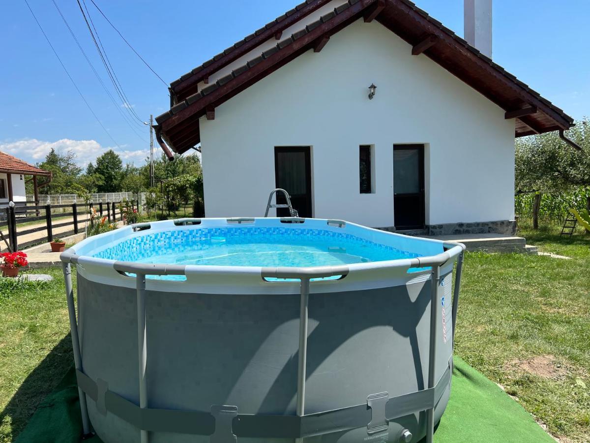 Pensiunea Alina Baia de Fier Exterior foto